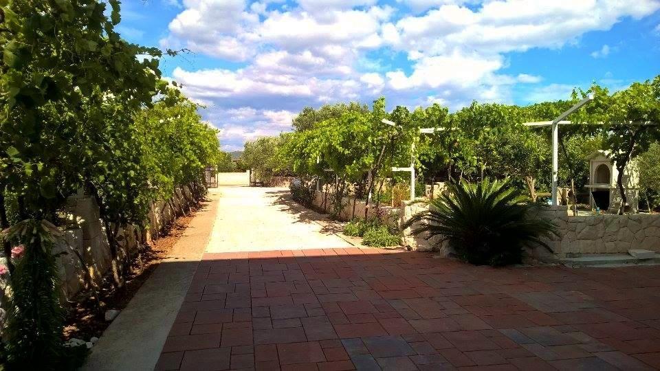 Villa Palas Apartments Rogoznica  Dış mekan fotoğraf